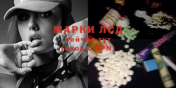 ГАЛЛЮЦИНОГЕННЫЕ ГРИБЫ Аркадак