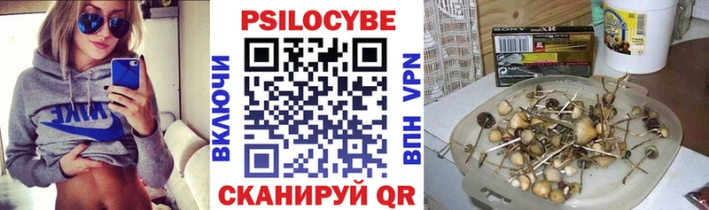 гидра ТОР  Светлогорск  Псилоцибиновые грибы MAGIC MUSHROOMS 